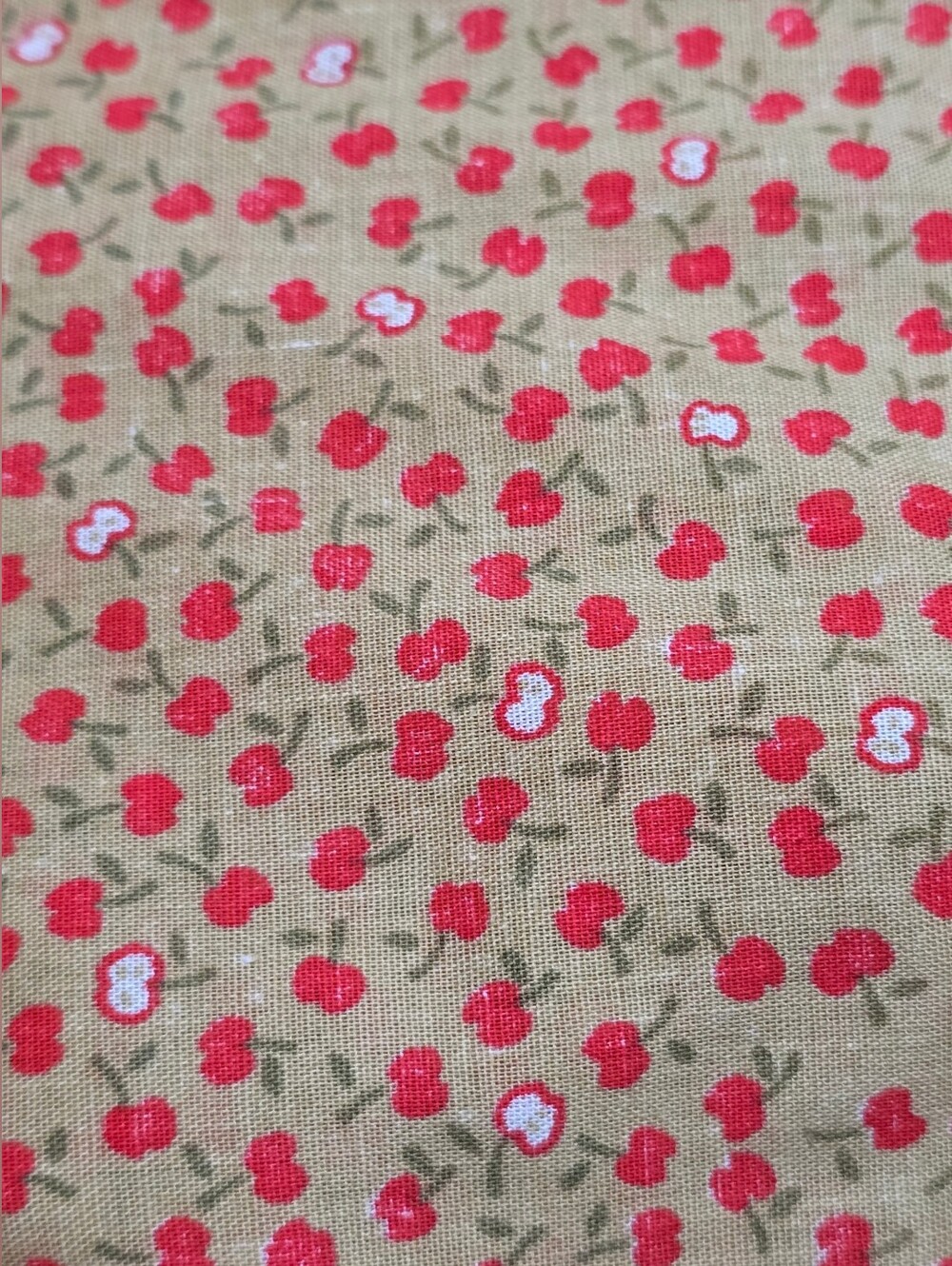 Vintage | Apple Print Fabric
